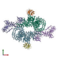 PDB entry 6bcx coloured by chain, front view.