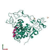Monomeric assembly 3 of PDB entry 6be6 coloured by chemically distinct molecules, front view.