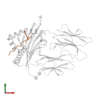 Chondrocalcin in PDB entry 6bin, assembly 1, front view.