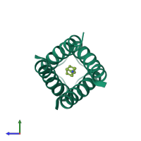 Homo tetrameric assembly 1 of PDB entry 6bkk coloured by chemically distinct molecules, side view.