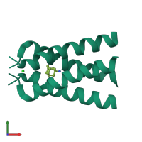 Homo tetrameric assembly 2 of PDB entry 6bkk coloured by chemically distinct molecules, front view.