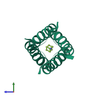 Homo tetrameric assembly 2 of PDB entry 6bkk coloured by chemically distinct molecules, side view.