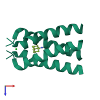 Homo tetrameric assembly 2 of PDB entry 6bkk coloured by chemically distinct molecules, top view.
