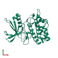 Calcium/calmodulin-dependent protein kinase kinase 2 in PDB entry 6ble, assembly 1, front view.