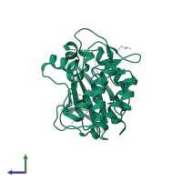 Calcium/calmodulin-dependent protein kinase kinase 2 in PDB entry 6ble, assembly 1, side view.