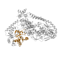 The deposited structure of PDB entry 6bog contains 2 copies of Pfam domain PF00271 (Helicase conserved C-terminal domain) in RNA polymerase-associated protein RapA. Showing 1 copy in chain A.