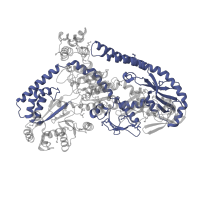 The deposited structure of PDB entry 6bog contains 2 copies of Pfam domain PF12137 (RNA polymerase recycling family C-terminal) in RNA polymerase-associated protein RapA. Showing 1 copy in chain A.