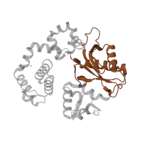 The deposited structure of PDB entry 6bte contains 1 copy of Pfam domain PF14792 (DNA polymerase beta palm ) in DNA polymerase beta. Showing 1 copy in chain A.