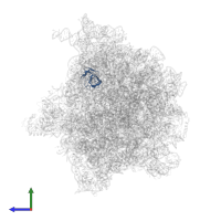 Large ribosomal subunit protein uL14 in PDB entry 6bu8, assembly 1, side view.