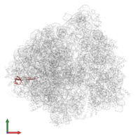 Large ribosomal subunit protein bL21 in PDB entry 6bu8, assembly 1, front view.