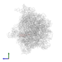 Large ribosomal subunit protein bL21 in PDB entry 6bu8, assembly 1, side view.