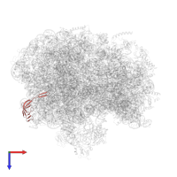 Large ribosomal subunit protein bL21 in PDB entry 6bu8, assembly 1, top view.