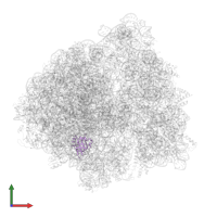 Large ribosomal subunit protein bL25 in PDB entry 6bu8, assembly 1, front view.