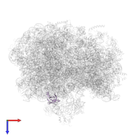 Large ribosomal subunit protein bL25 in PDB entry 6bu8, assembly 1, top view.