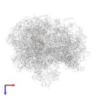 Large ribosomal subunit protein bL33 in PDB entry 6bu8, assembly 1, top view.