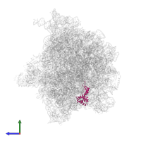 Small ribosomal subunit protein uS7 in PDB entry 6bu8, assembly 1, side view.