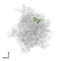 Small ribosomal subunit protein uS8 in PDB entry 6bu8, assembly 1, side view.