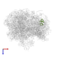 Small ribosomal subunit protein uS8 in PDB entry 6bu8, assembly 1, top view.