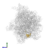 Small ribosomal subunit protein uS9 in PDB entry 6bu8, assembly 1, side view.