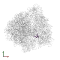 Small ribosomal subunit protein uS11 in PDB entry 6bu8, assembly 1, front view.