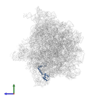 Small ribosomal subunit protein uS13 in PDB entry 6bu8, assembly 1, side view.