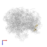 Small ribosomal subunit protein uS14 in PDB entry 6bu8, assembly 1, top view.