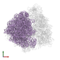 23S ribosomal RNA in PDB entry 6bu8, assembly 1, front view.