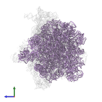 23S ribosomal RNA in PDB entry 6bu8, assembly 1, side view.