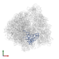 tRNAfMet in PDB entry 6bu8, assembly 1, front view.