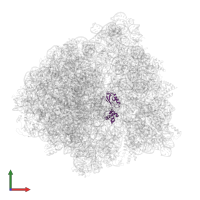 Large ribosomal subunit protein uL11 in PDB entry 6bu8, assembly 1, front view.