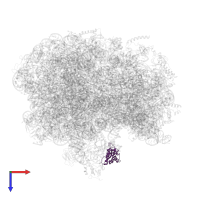 Large ribosomal subunit protein uL11 in PDB entry 6bu8, assembly 1, top view.