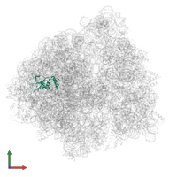 Large ribosomal subunit protein uL13 in PDB entry 6bu8, assembly 1, front view.