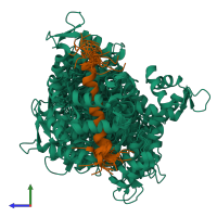 PDB entry 6but coloured by chain, ensemble of 20 models, side view.