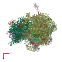 Hetero 56-meric assembly 2 of PDB entry 6bz7 coloured by chemically distinct molecules, top view.
