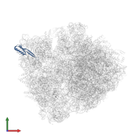 Small ribosomal subunit protein uS10 in PDB entry 6bz7, assembly 1, front view.