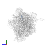 Small ribosomal subunit protein uS10 in PDB entry 6bz7, assembly 1, side view.