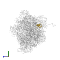 Small ribosomal subunit protein uS11 in PDB entry 6bz7, assembly 1, side view.