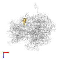 Small ribosomal subunit protein uS11 in PDB entry 6bz7, assembly 1, top view.