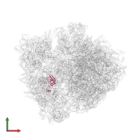 Small ribosomal subunit protein uS12 in PDB entry 6bz7, assembly 1, front view.