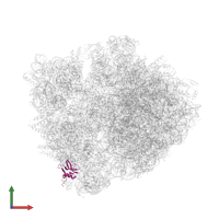 Small ribosomal subunit protein bS16 in PDB entry 6bz7, assembly 1, front view.