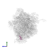 Small ribosomal subunit protein bS16 in PDB entry 6bz7, assembly 1, side view.