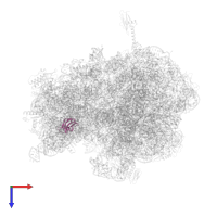 Small ribosomal subunit protein bS16 in PDB entry 6bz7, assembly 1, top view.