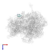 Small ribosomal subunit protein bS18 in PDB entry 6bz7, assembly 1, top view.