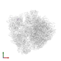 Small ribosomal subunit protein bTHX in PDB entry 6bz7, assembly 1, front view.