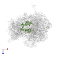 tRNA fMet in PDB entry 6bz7, assembly 1, top view.