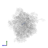 Messenger RNA in PDB entry 6bz7, assembly 1, side view.