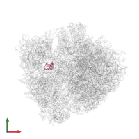 ASL Leu in PDB entry 6bz7, assembly 1, front view.