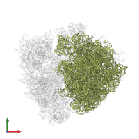 23S ribosomal RNA in PDB entry 6bz7, assembly 1, front view.