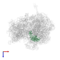 5S ribosomal RNA in PDB entry 6bz7, assembly 1, top view.