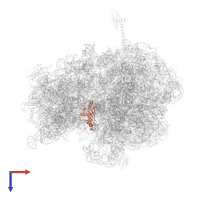 Large ribosomal subunit protein uL5 in PDB entry 6bz7, assembly 1, top view.